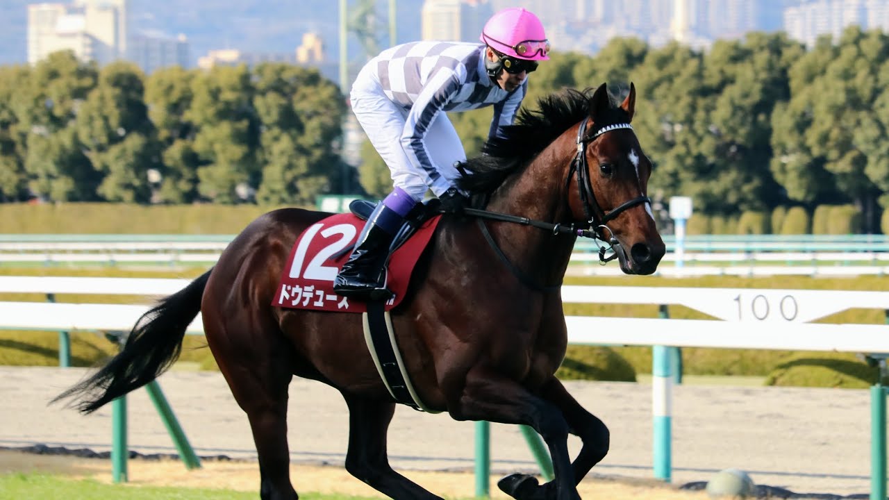 【現地】京都記念 全頭返し馬 ターフビジョン前辺り最前列