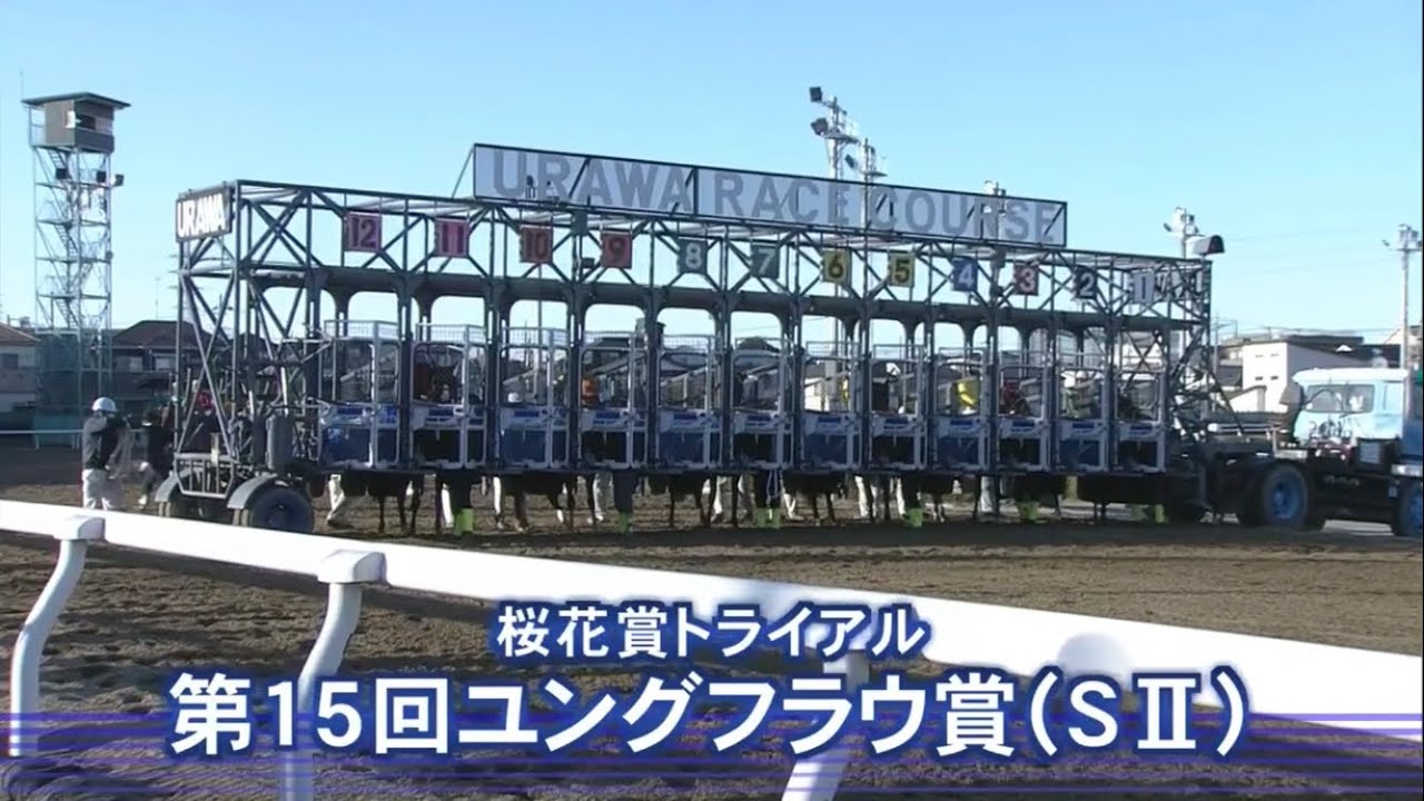第１５回 ユングフラウ賞３歳牝馬オープン［2023.2.15 浦和第11R/1400m ダート］