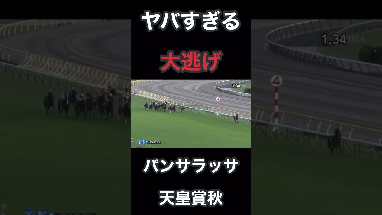 パンサラッサ天皇賞秋ヤバすぎる大逃げ