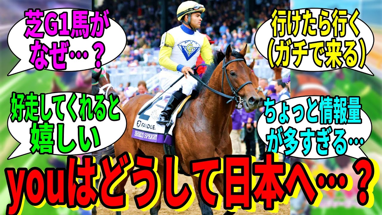 【競馬の反応集】「フェブラリーS参戦のシャールズスパイト、存在が面白すぎる」に対する視聴者の反応集