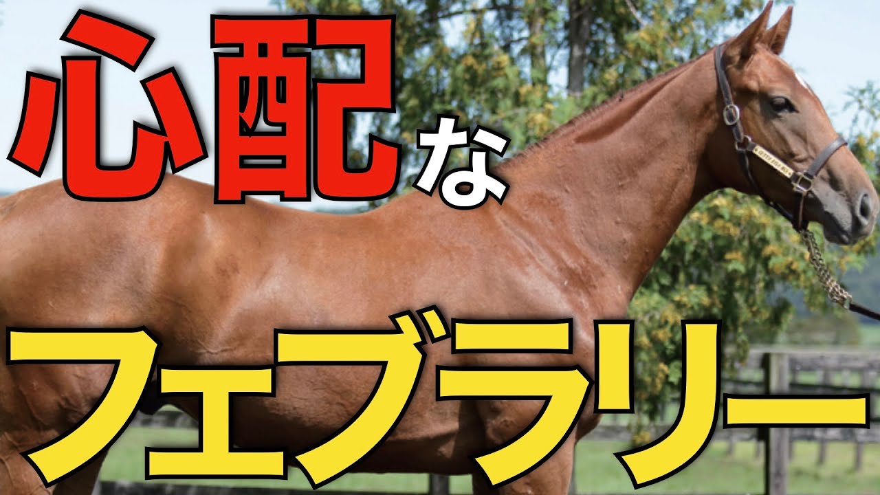 【時期が…】フェブラリーSの先行きが心配すぎる！サウジやドバイでメンバー手薄に。