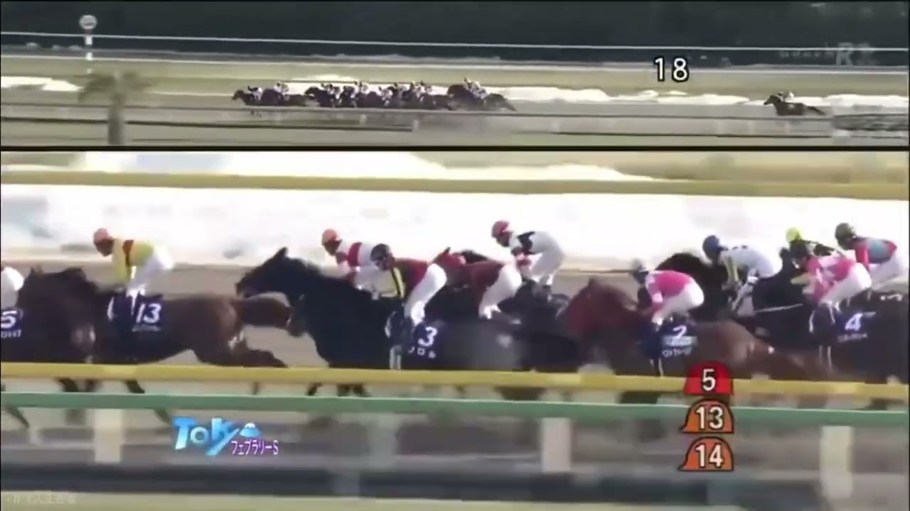 2014 フェブラリーステークス（GI）レース映像
