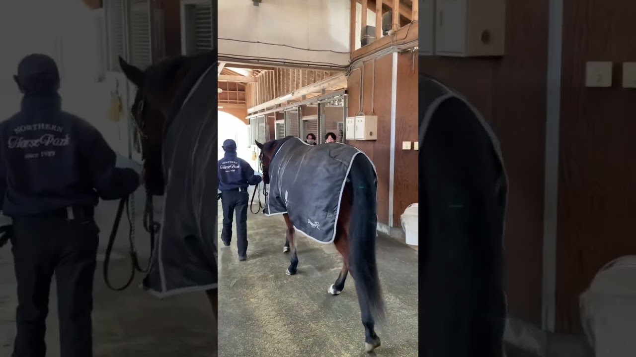 【ノーザンホースパーク】2017年有馬記念優勝馬ブラストワンピース