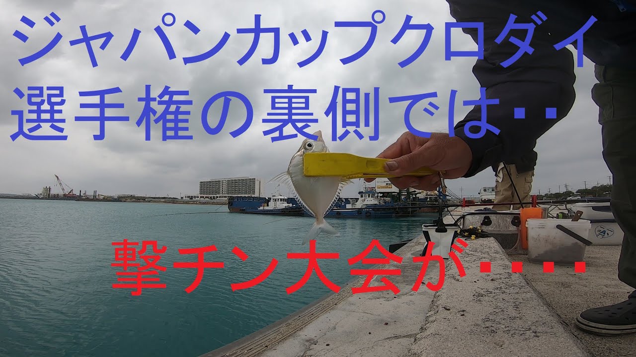 【沖縄釣り】ジャパンカップ偵察から～の撃チンロードから抜け出せるのか？