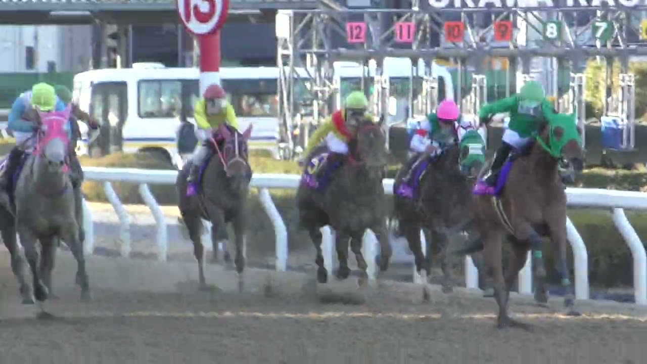20230215浦和「第15回ユングフラウ賞／桜花賞(浦和)TR・1-3着まで優先出走権」は1番人気サーフズアップがゴール寸前で差し切り重賞初制覇！ローレル賞2着、東京2歳優駿牝馬3着の悔しさ晴らすＶ