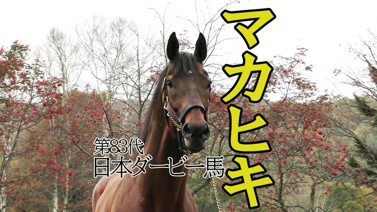 マカヒキ Makahiki～第83代 日本ダービー馬