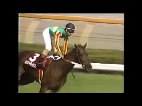 第３１回　４歳牝馬特別（オークストライアル） （ＧⅡ）　センターライジング　四位洋文　1996.4.28　　出走馬：エリモシック 、ナナヨーストーム、マックスロゼ他　実況：塩原恒夫　＃キャッスルリバー