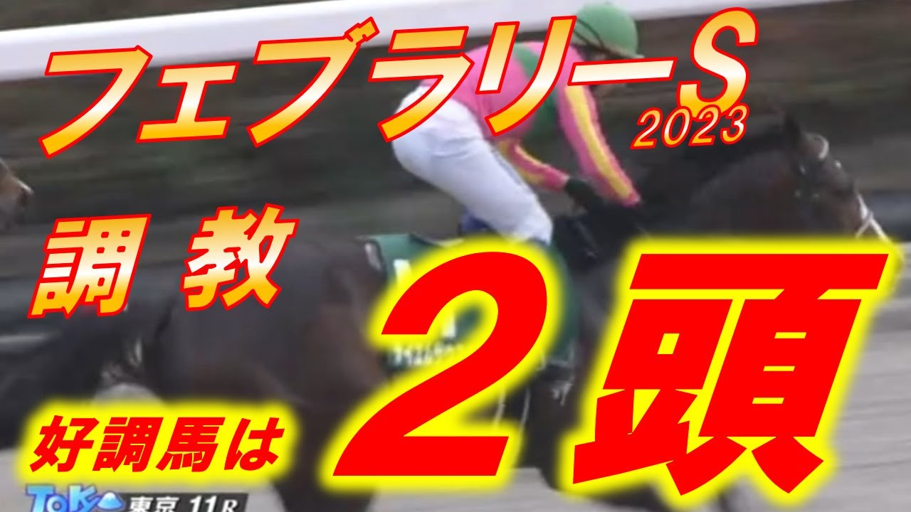 フェブラリーS2023　追い切り診断　人気馬で1頭、穴馬1頭良く見えた！　（レモンポップは後日他動画で出します）　元馬術選手のコラム【競馬】