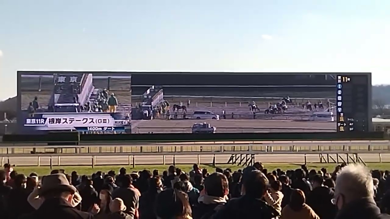 根岸ステークス ファンファーレ
