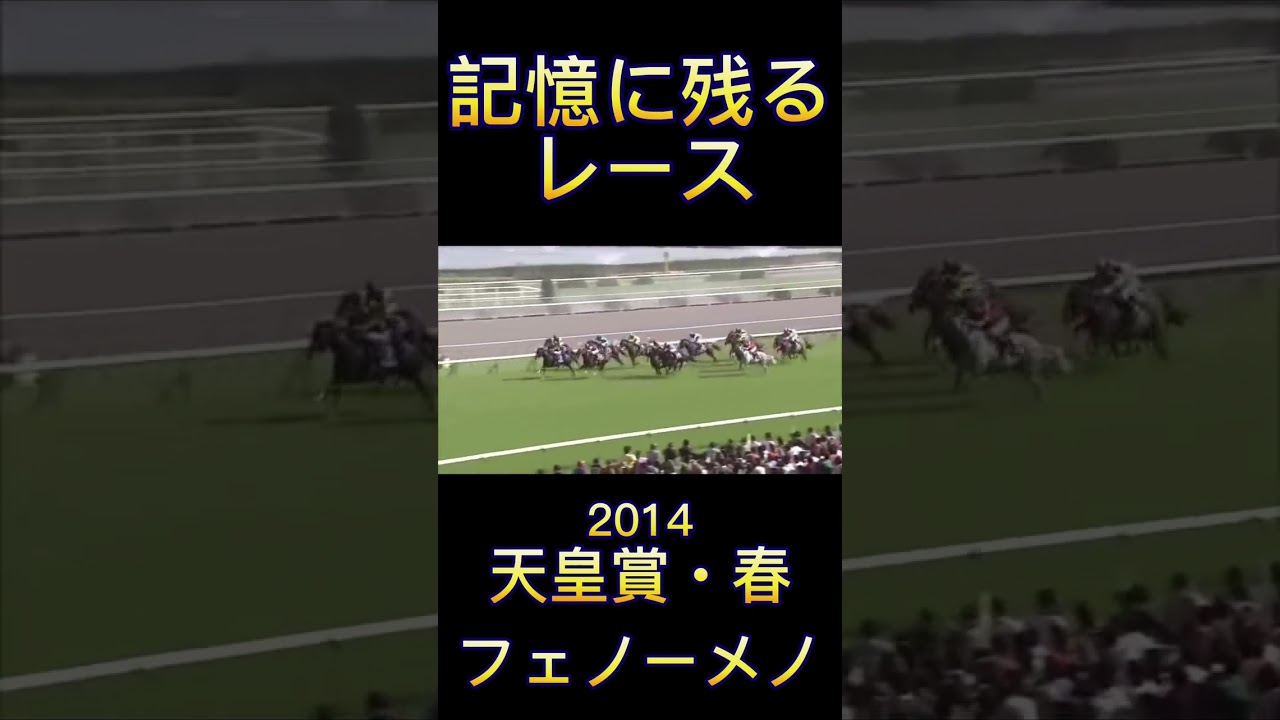 これは凄い！2014年天皇賞・春のフェノーメノ#shorts #競馬 #スポーツ #ウマ娘 #天皇賞春