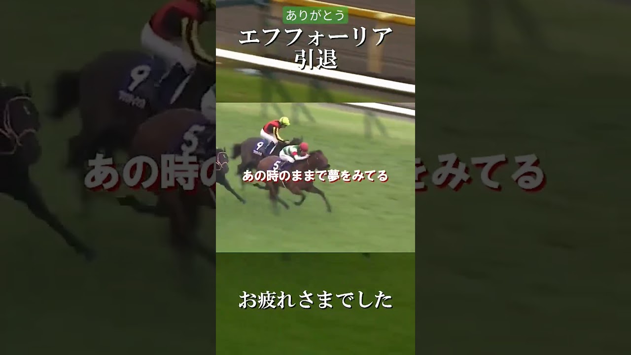 エフフォーリア、お疲れさまでした！#競馬 #競馬予想 #エフフォーリア #f4 #shorts #short