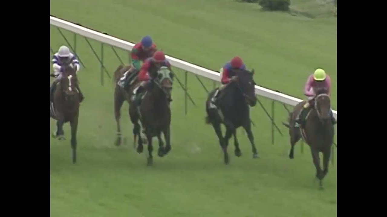 マーベラスサンデー 1996年 第13回エプソムカップ(GIII) (優勝馬：マーベラスサンデー)