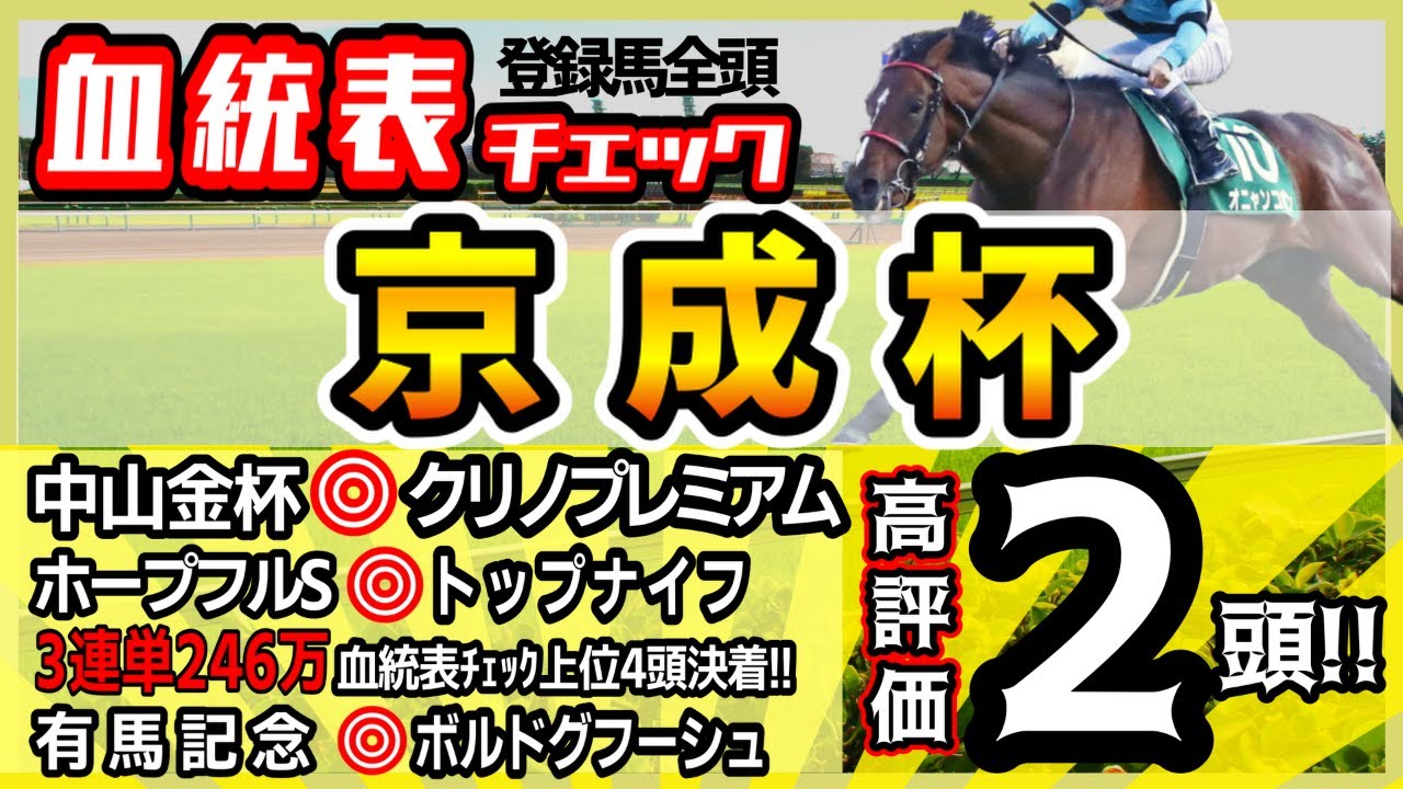 【京成杯2023】中山金杯◎クリノプレミアム！有馬◎ボルド、ホープ◎トップで3連続推奨成功中！今回も狙うお宝血統、高評価2頭！