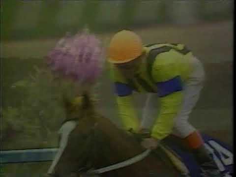 『さあ差は開くか！開いた！差は開いた！これは恐ろしい馬だ！』　第５回　マイルチャンピオンシップ （ＧⅠ）　サッカーボーイ　1988.11.20　　出走馬：ホクトヘリオス、シンウインド他　　実況：杉本清