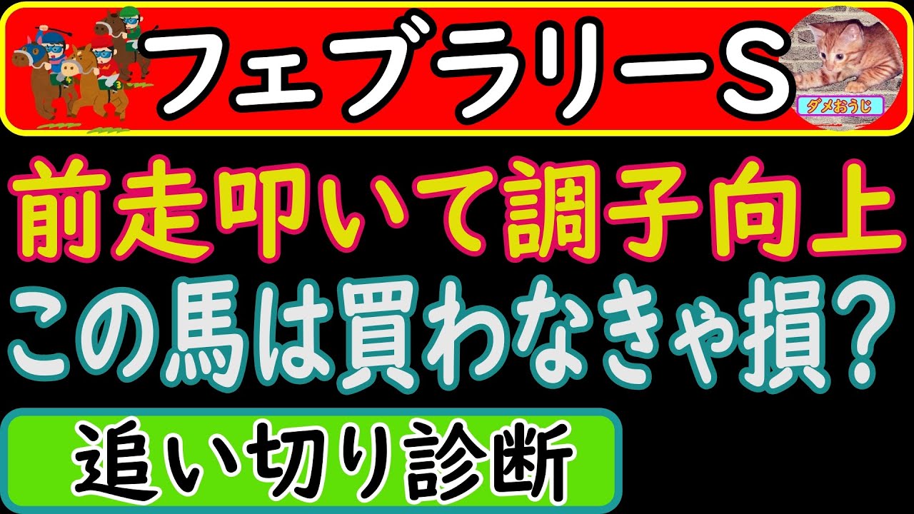 フェブラリーステークス2023年の追い切り診断！人気上位馬を診断してオススメ馬を発表します