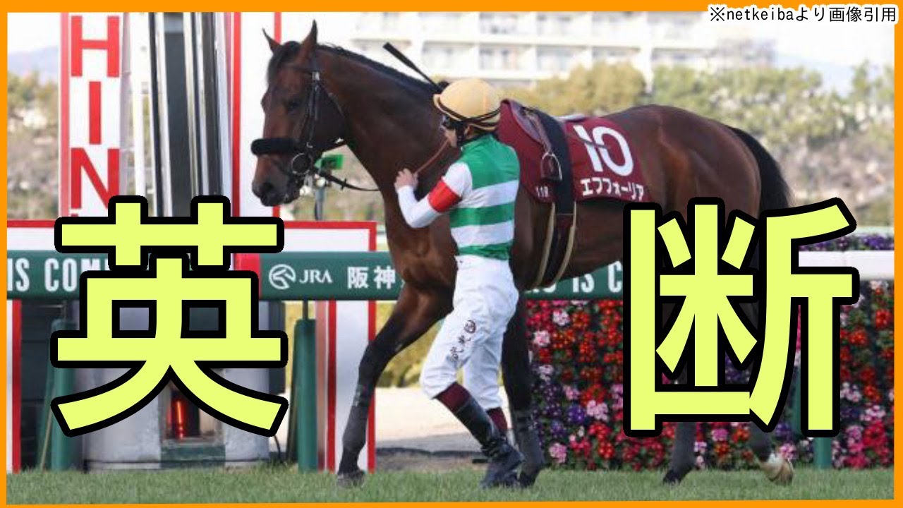 エフフォーリア電撃引退！「一勝より一生」を選んだ人たちの決断【私の競馬記録】 【エフフォーリア／横山武史】【鹿戸雄一】