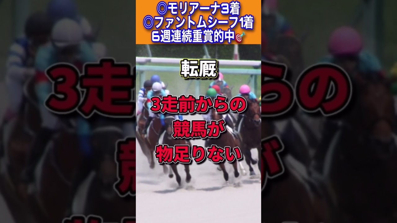 【フェブラリーステークス2023】30秒でわかるテイエムサウスダン