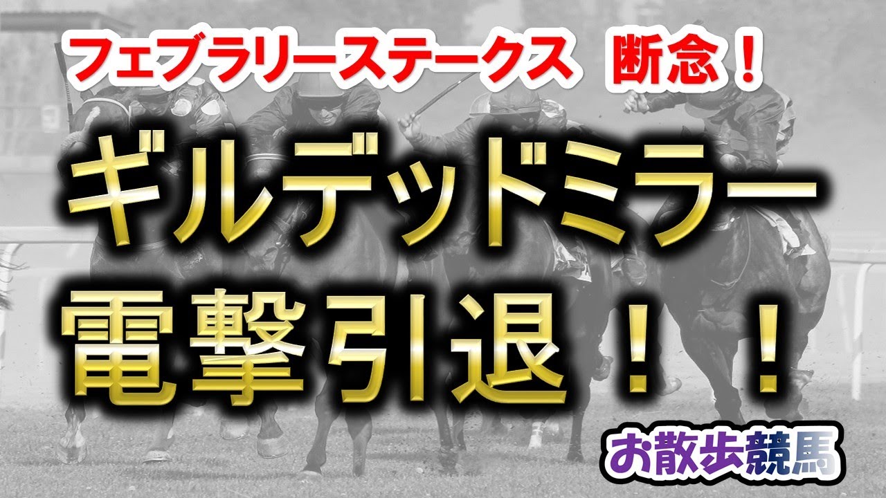 電撃引退！ ギルデッドミラー　Ｇ１フェブラリーＳの有力馬ギルデッドミラーの引退が発表されました。