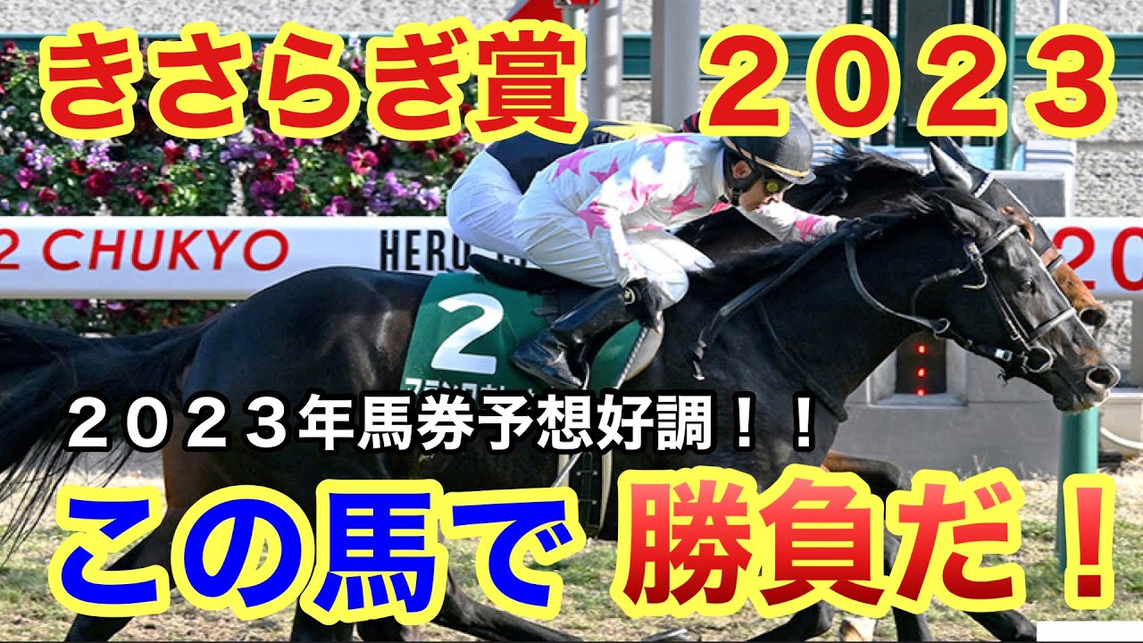 【競馬予想】第６３回きさらぎ賞！予想・買い目を発表します！！