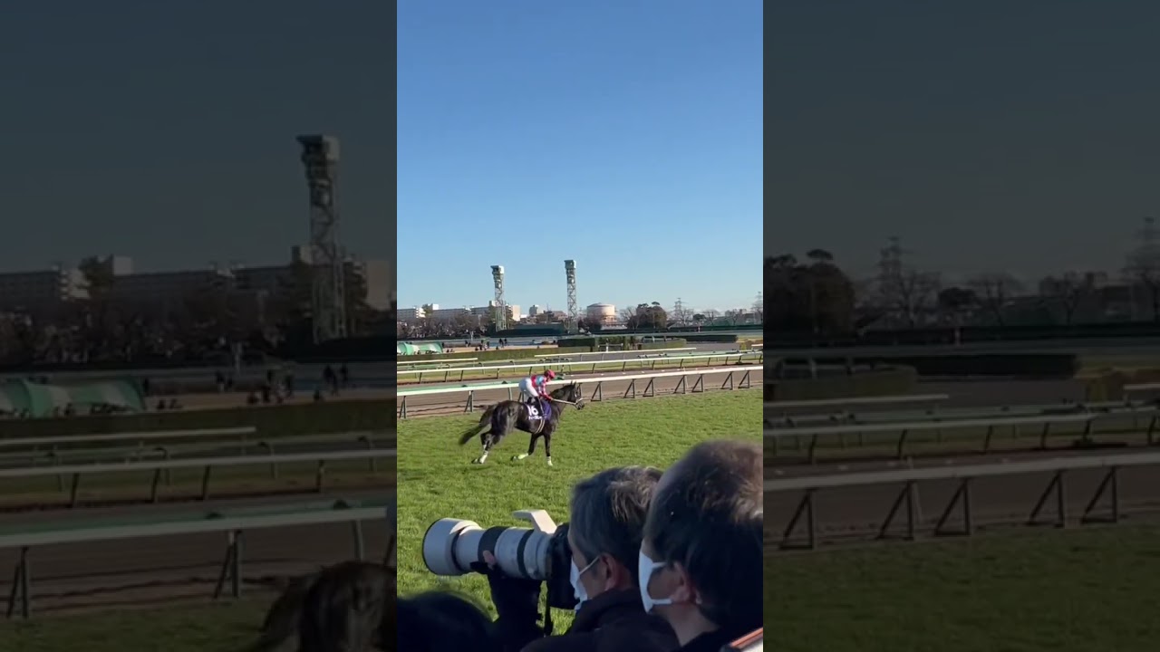 有馬記念返し馬