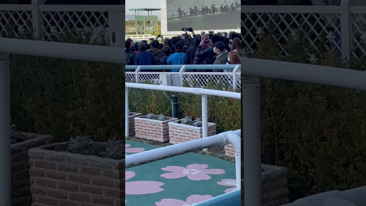 #ドウデュース  #武豊  #京都記念2023  #競馬  ドウデュース（ダービー馬が京都記念制覇は75年ぶり）