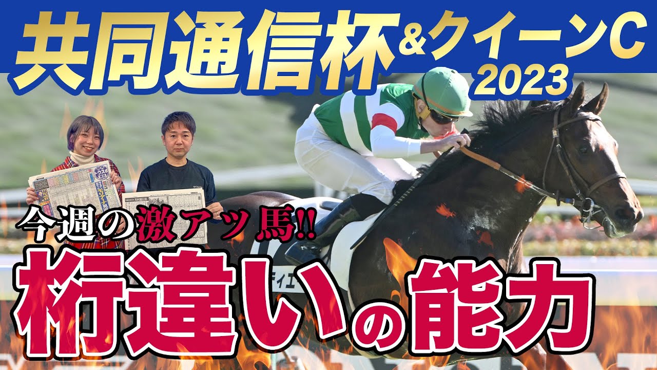 【共同通信杯＆クイーンC2023予想】ケタ違いの能力を持つこの馬を買うしかない！競馬記者が解説します《金曜東スポななめ読み》