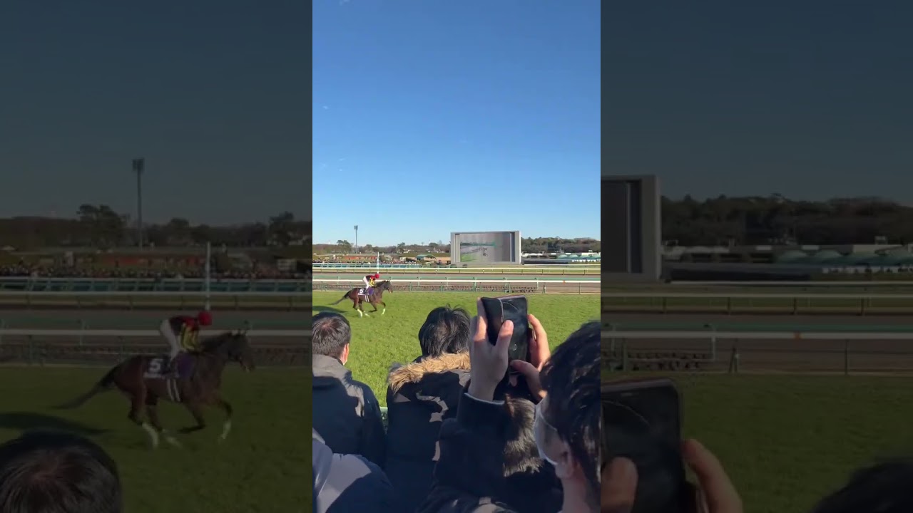 有馬記念返し馬　ジェラルディーナ