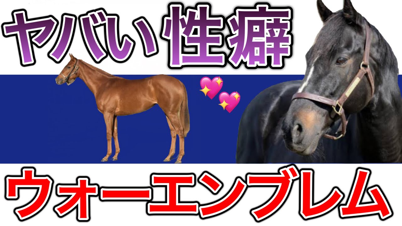 【リメイク】ロ◯コン種牡馬 ウォーエンブレムを解説 〜運命に逆らった孤高の名馬〜【社台・失敗】