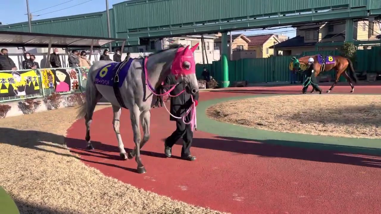 2023.2.15 浦和🐎11R 第15回 ユングフラウ賞（SII）パドック