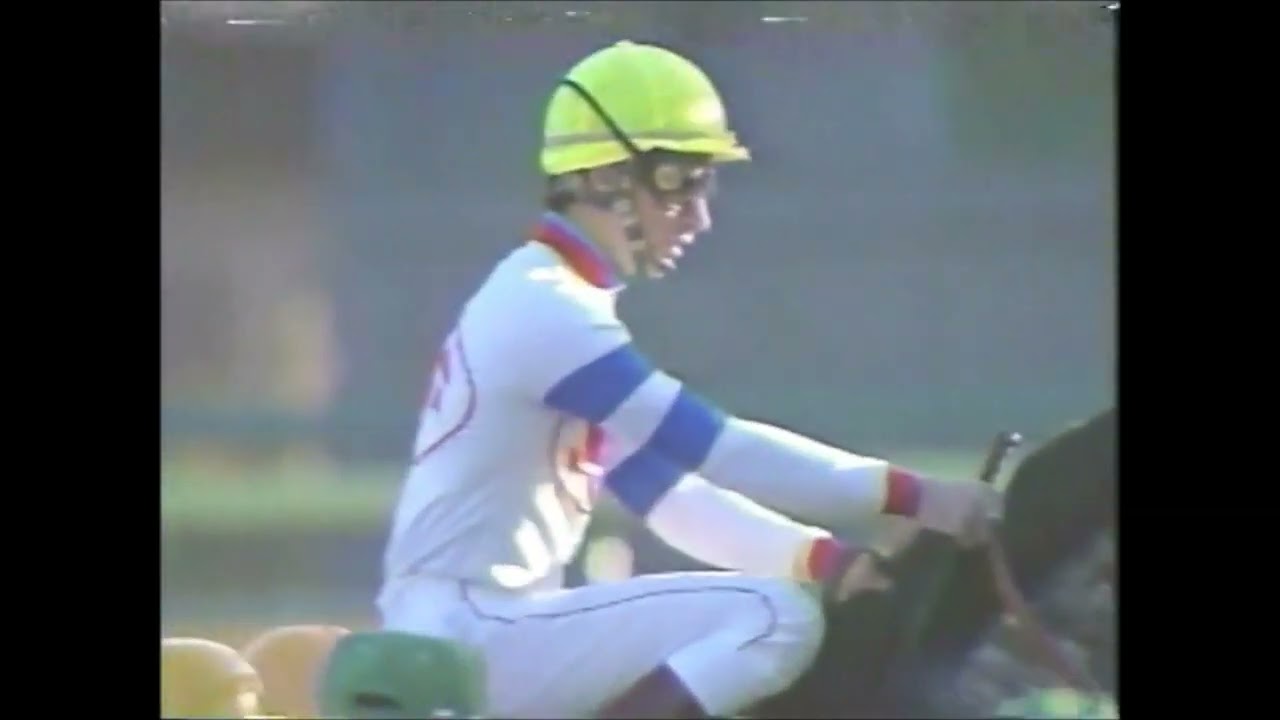 『「南半球の馬が初めてジャパンカップを制しました！」』第９回ジャパンカップ （ＧⅠ）　ホーリックス　1989.11.26　　出走馬：オグリキャップ、スーパークリーク他　実況：大川和彦　解説：大川慶次郎