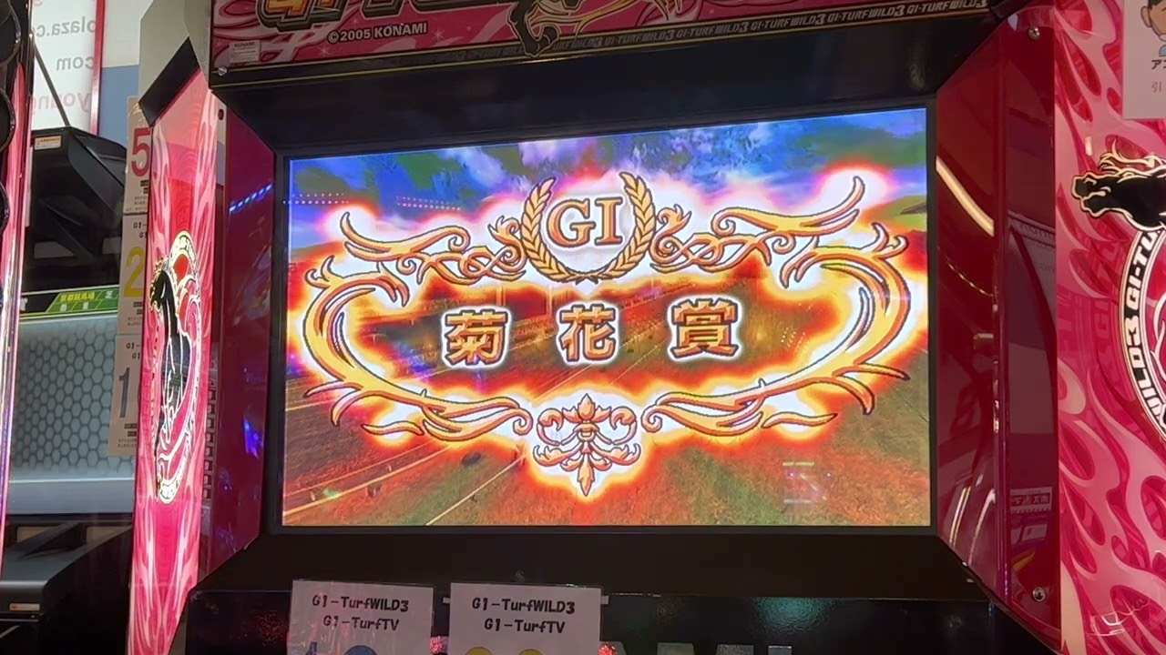 【ターフワイルド】イヌ　菊花賞