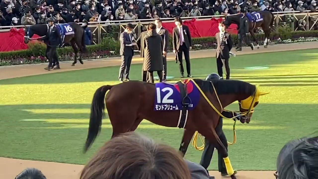 中山11レース  ホープフルステークス(GI) パドック
