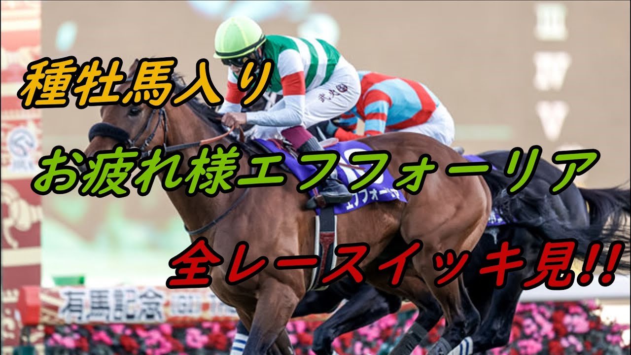 『エフフォーリア』生涯レースまとめ