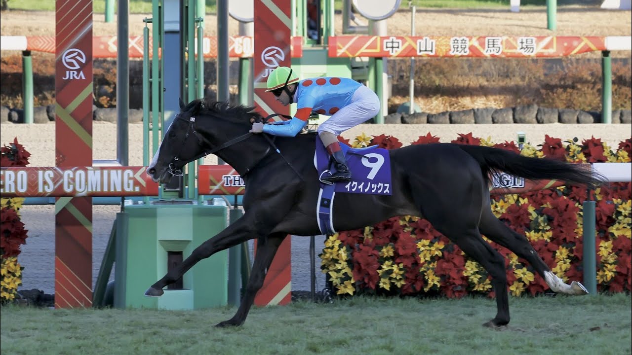 62歳の有馬記念2022