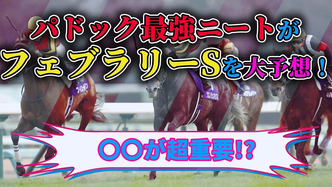 【フェブラリーS 2023　予想】必見！驚異の本命複勝率!!ニートのフェブラリーステークス事前予想　当日はパドック診断投稿！！ #ニート #競馬予想 #パドック #フェブラリーs2023