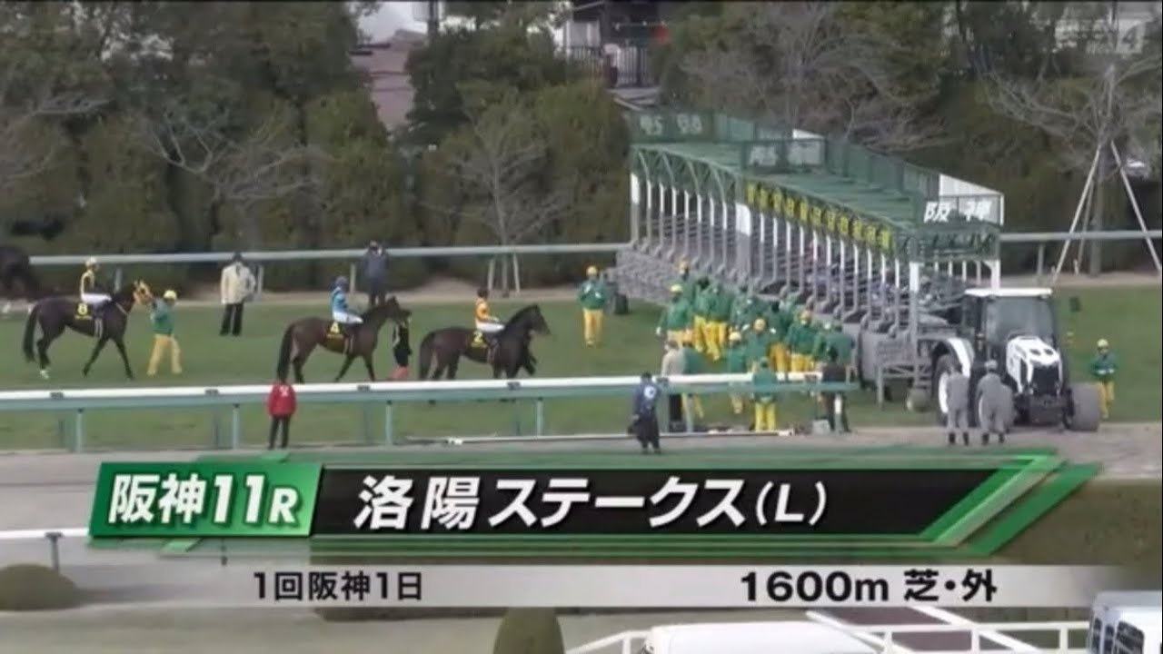 洛陽ステークス(L)［2023.2.11 阪神第11R/1600m 芝］