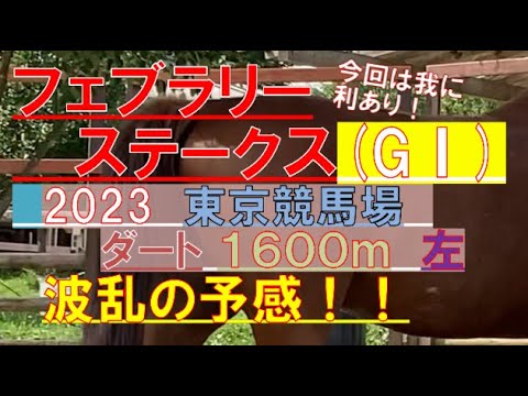 フェブラリーステークスGⅠ2023 ハイテク予想#8