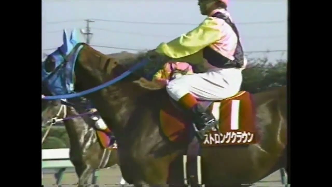 【ダービー3着の白い稲妻　覚醒の秋】第４４回　セントライト記念 （ＧⅡ）　ホワイトストーン 柴田政人　1990.9.23　　出走馬：バトルイニシャチブ、ストロングクラウン他　　＃キャッスルリバー