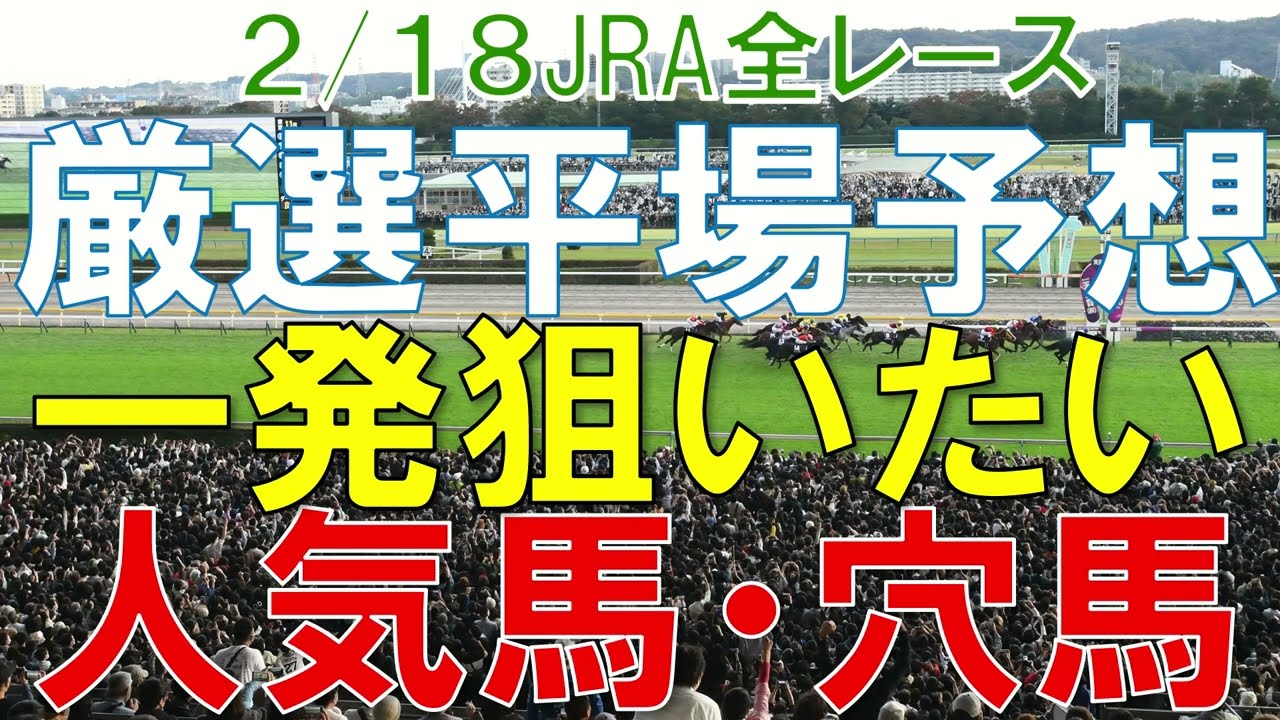 JRA 競馬予想 厳選平場予想 2月18日 平場に狙いたい人気馬・穴馬