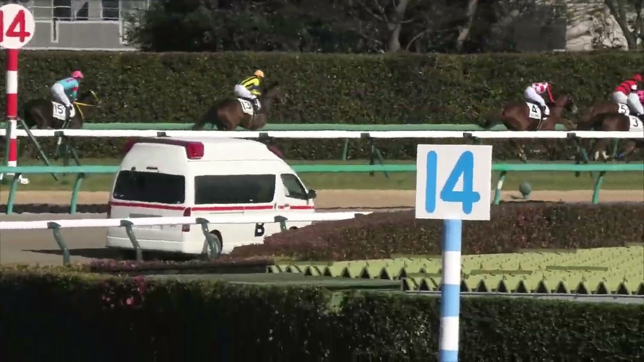 2023 01 22 中山競馬場第6レース　新馬戦2,000メートル・芝　ダールフルート・ピクシレーション・マオノアラシ他