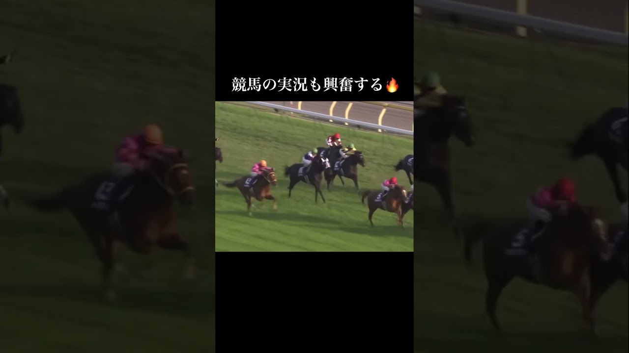 天皇賞秋#競馬 #競馬好き #ウマ娘 #ダイワスカーレット #ウォッカ #万馬券 #jra