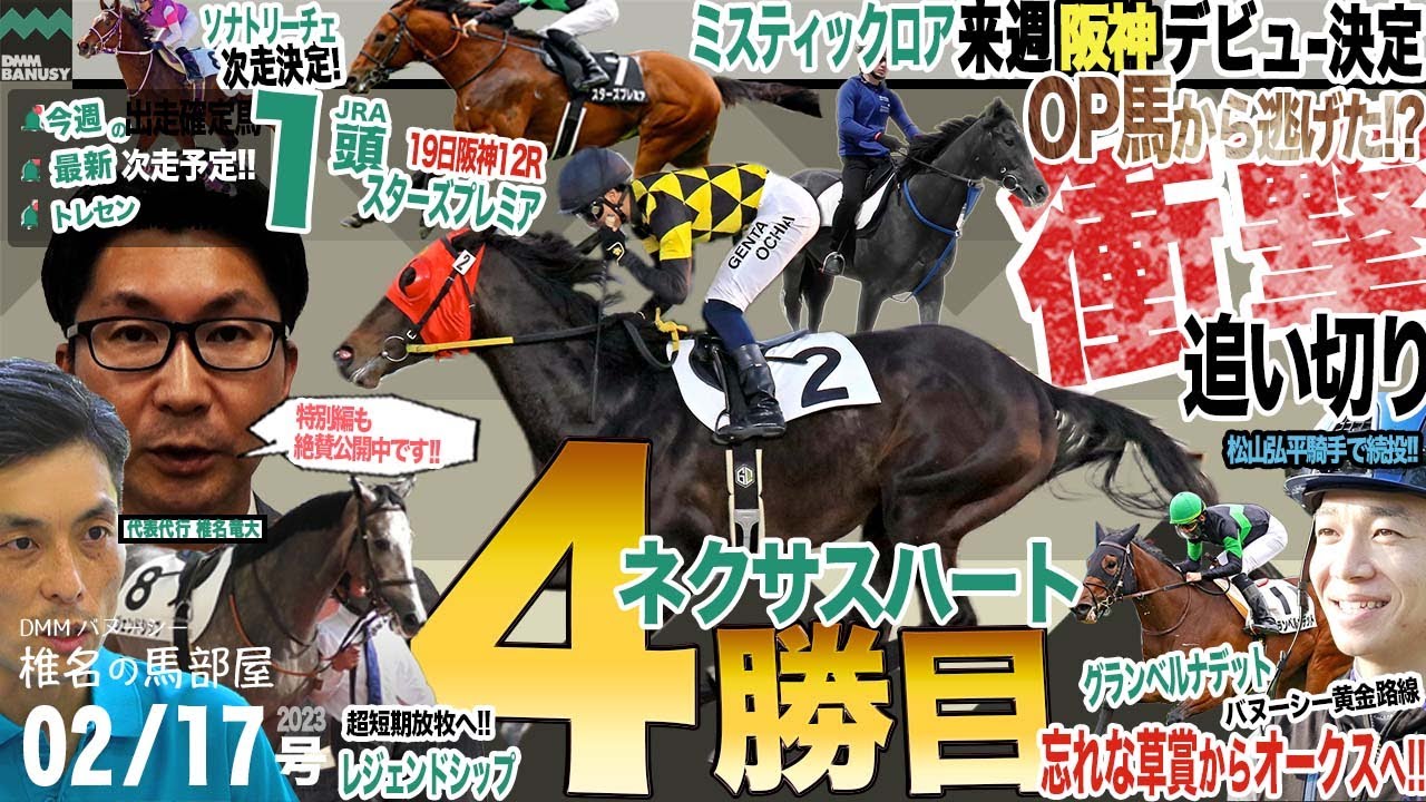 【椎チャンネル】椎名の馬部屋_2/16撮影_近況報告