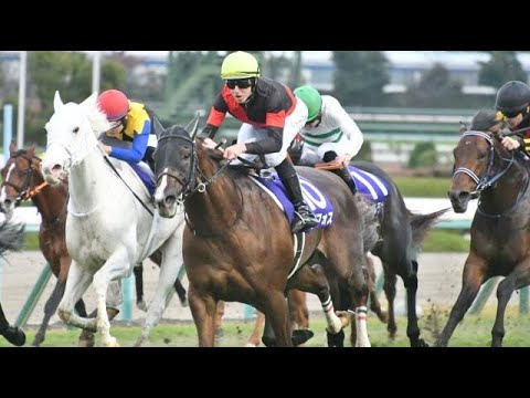 第３９回　マイルチャンピオンシップ （ＧⅠ）　セリフォス　D.レーン　2022.11.20　　出走馬：シュネルマイスター、ソダシ、サリオス、ダノンスコーピオン、ジャスティンカフェ他　　実況：岡安譲