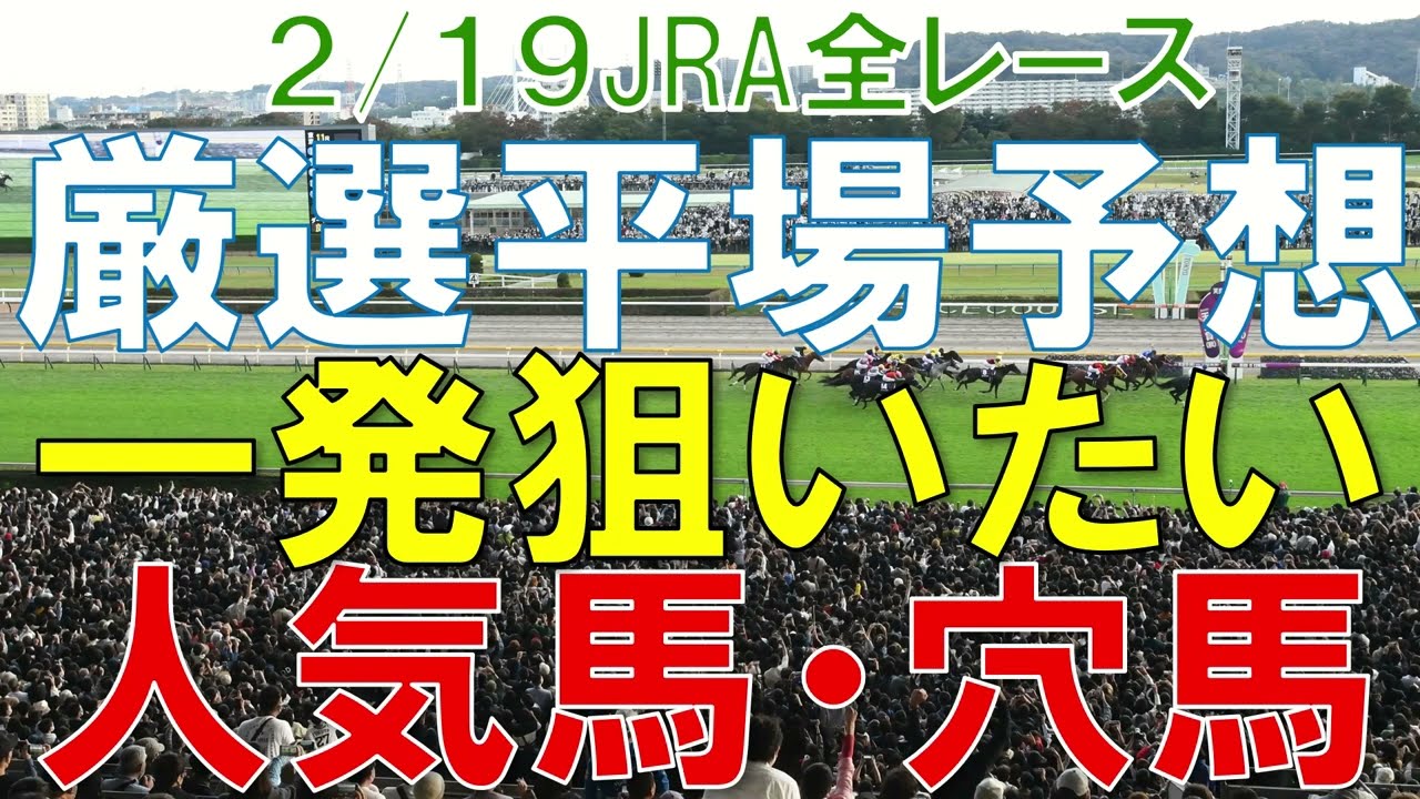 JRA 競馬予想 厳選平場予想 2月19日 平場に狙いたい人気馬・穴馬