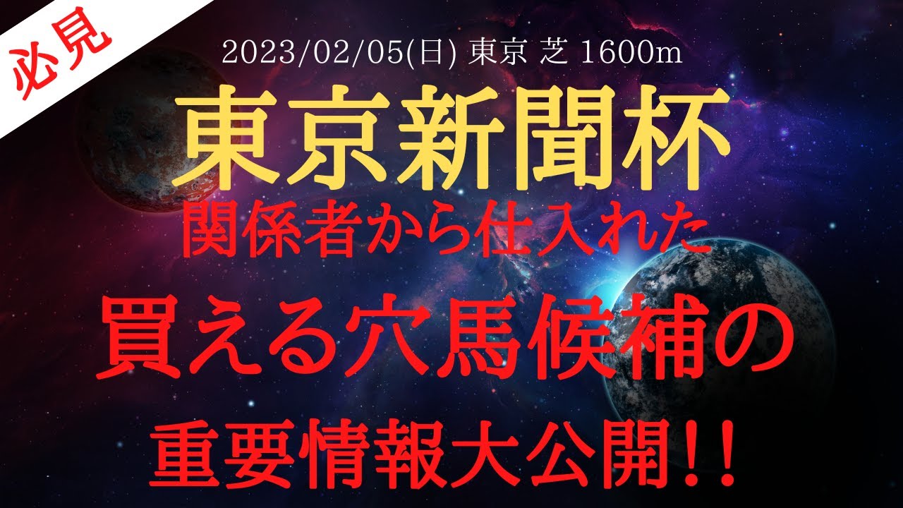 【 裏情報・データ 】東京新聞杯 2023 予想 関係者から仕入れた買える穴馬の情報を公開！【 中央競馬予想 】