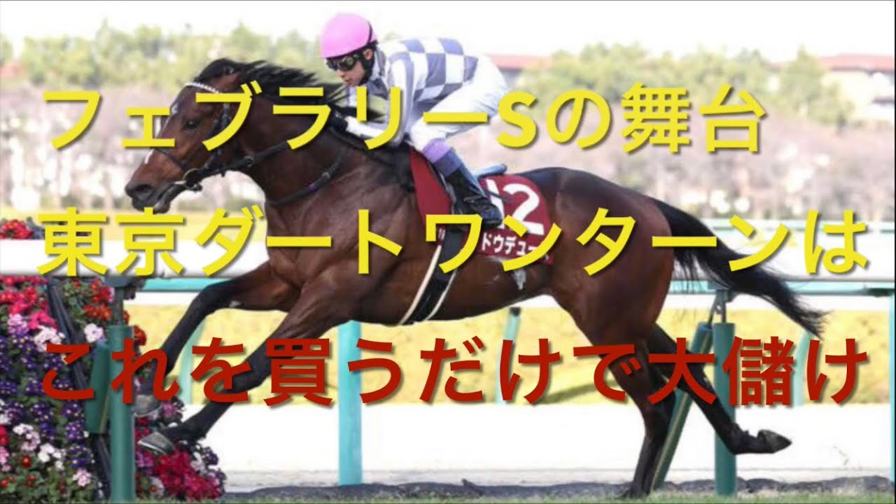 【競馬】フェブラリーSの舞台、東京ダートはこいつら買っときゃ儲かって仕方ない【競馬検証】