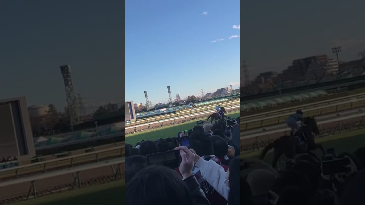 有馬記念 エフフォーリア #競馬 #競馬予想 #shorts #こしゃまる