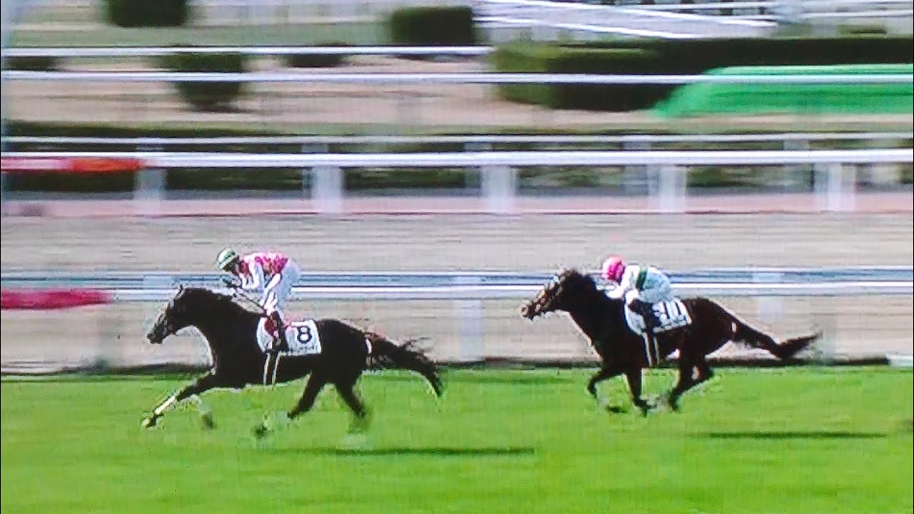 小倉5レース障害オープン ジューンベロシティ
