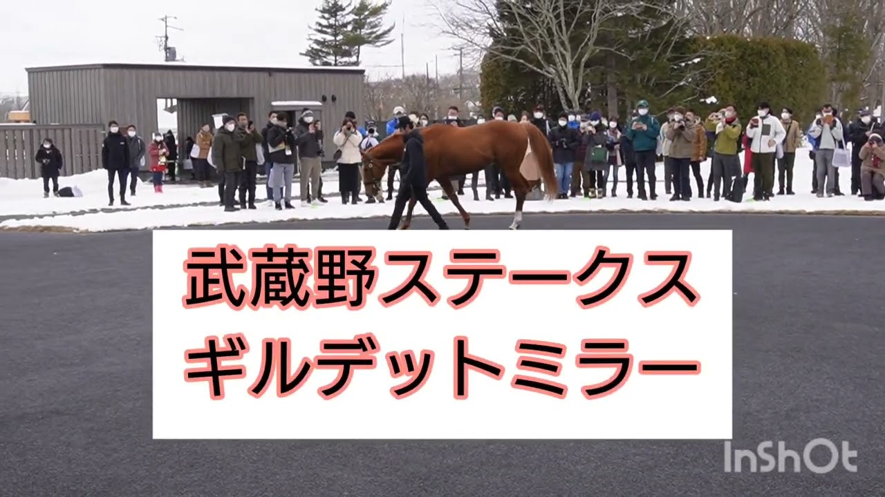 【社台スタリオン】現役時代は格好いい競馬をして大活躍し種馬としても大活躍する今季10シーズン目を迎えるオルフェーヴル