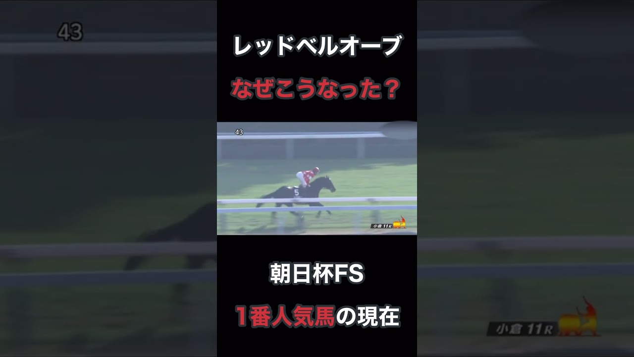 なぜこうなった？レッドベルオーブ朝日杯FS1番人気馬の現在